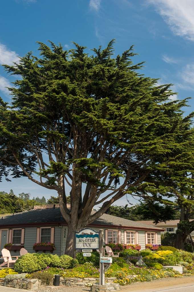 Sea Otter Inn Cambria