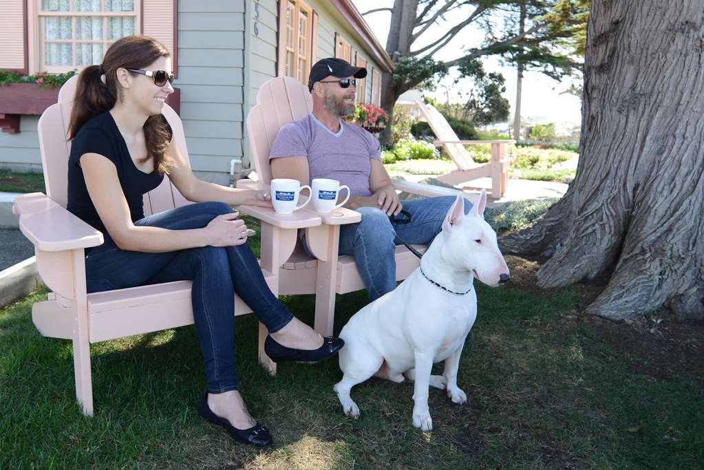 Sea Otter Inn