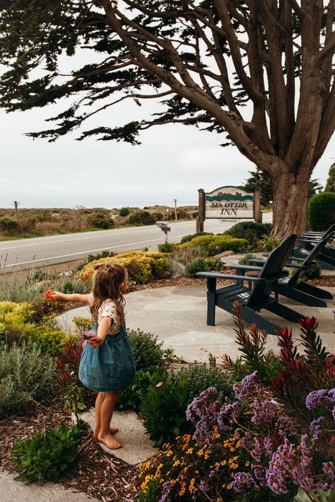 Sea Otter Inn 3*