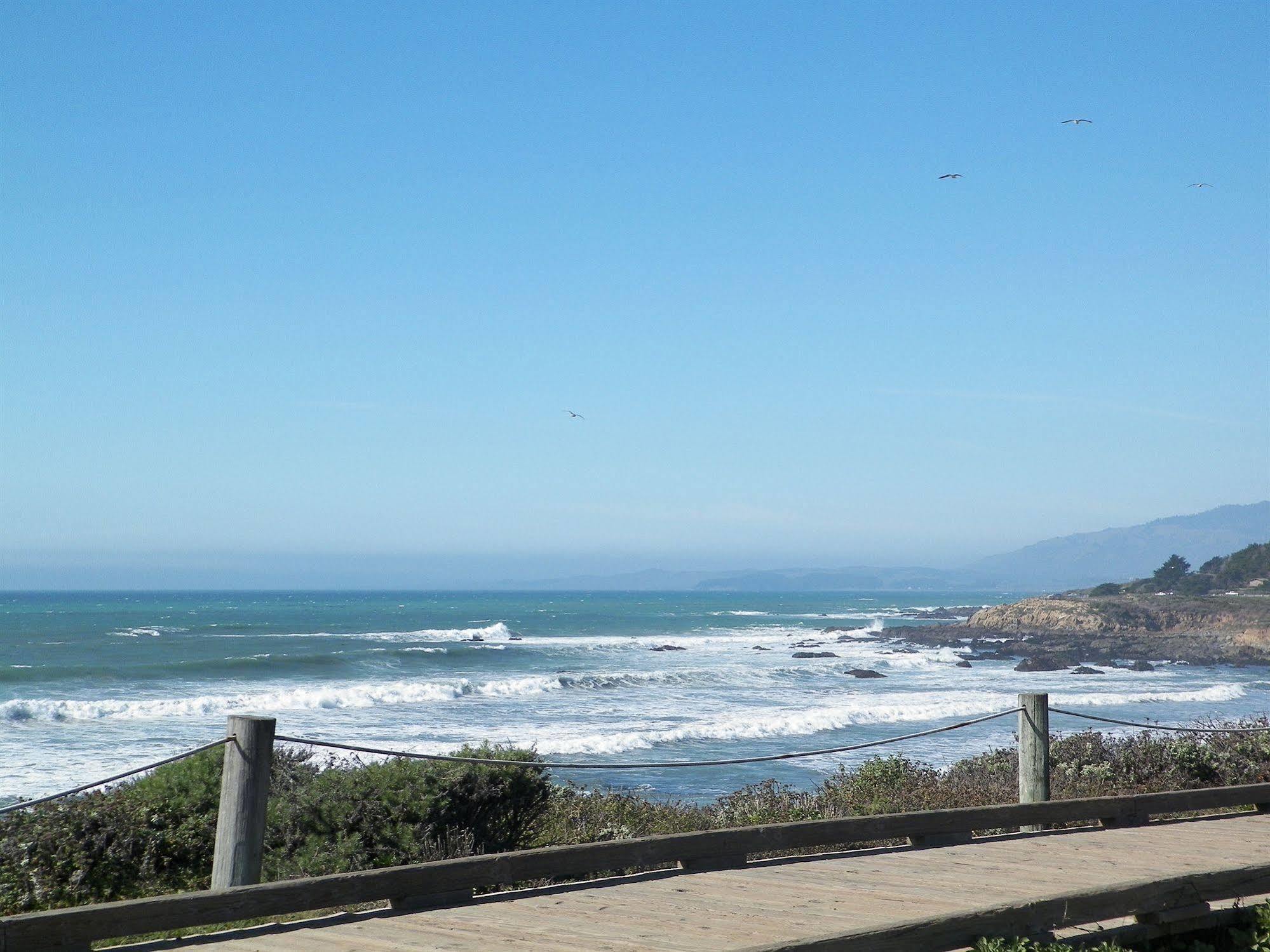 Sea Otter Cambria
