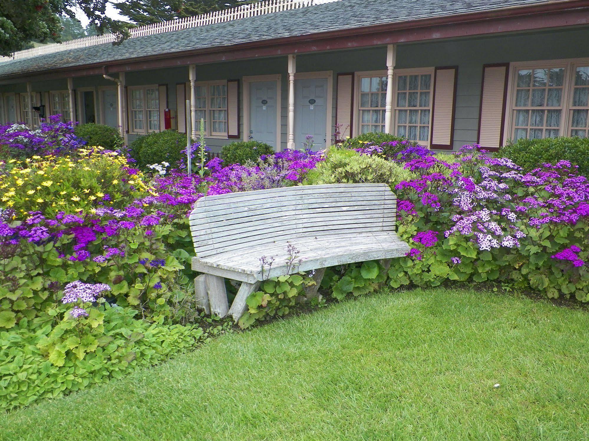 Sea Otter Inn Cambria