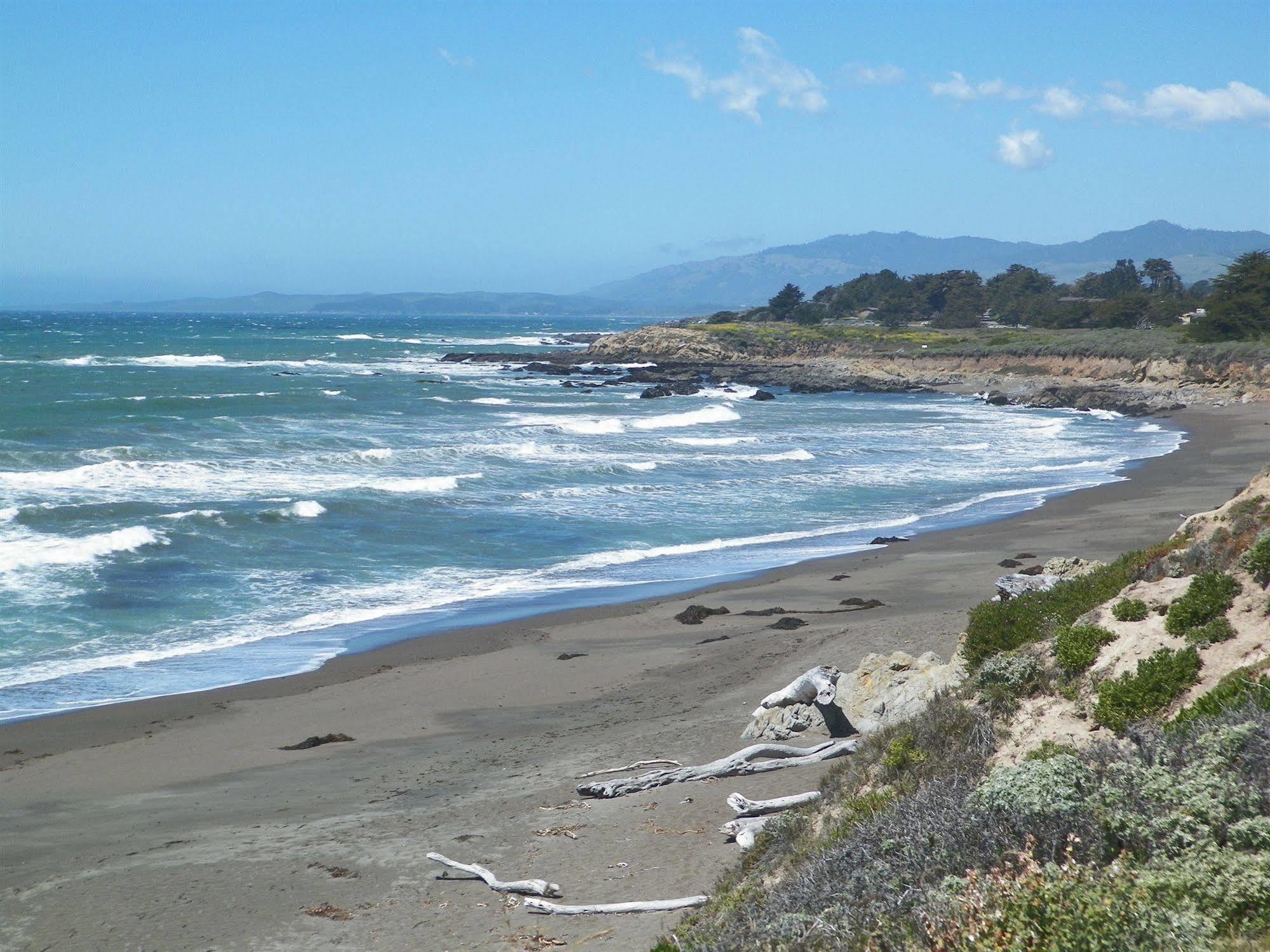 Inn Sea Otter