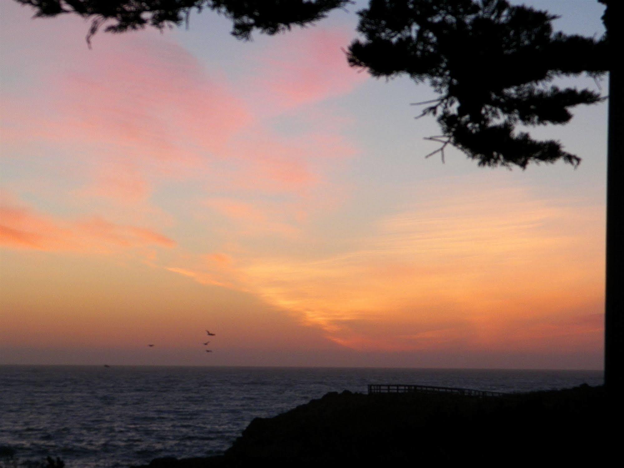 Inn Sea Otter 3*