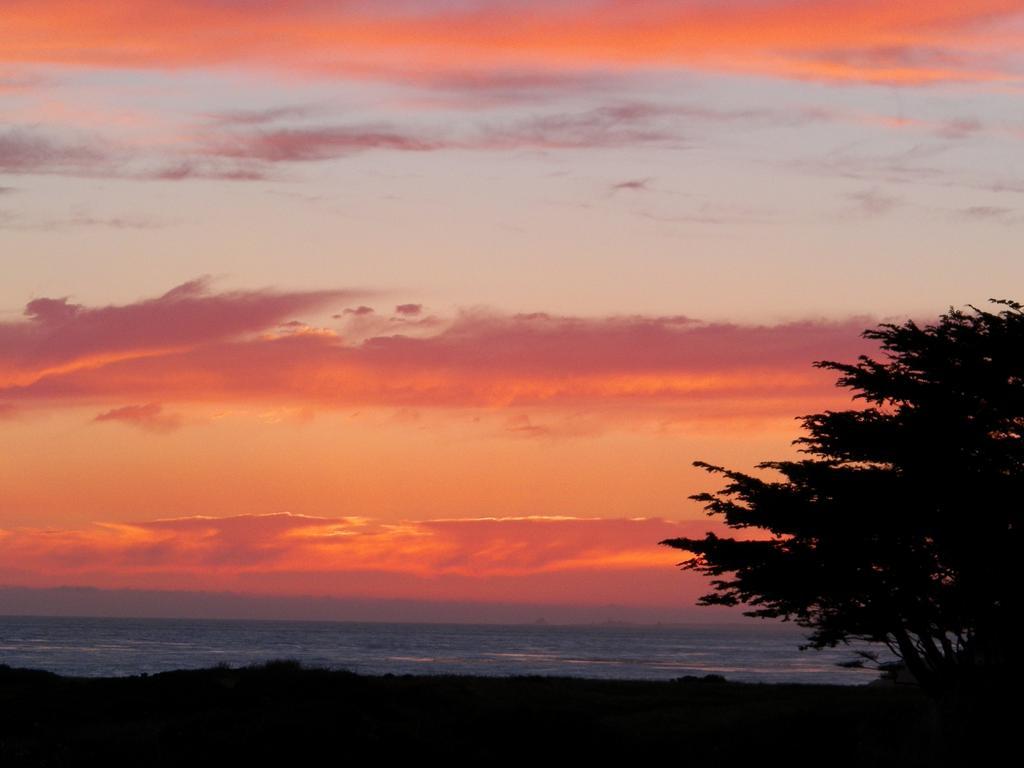 Sea Otter Inn